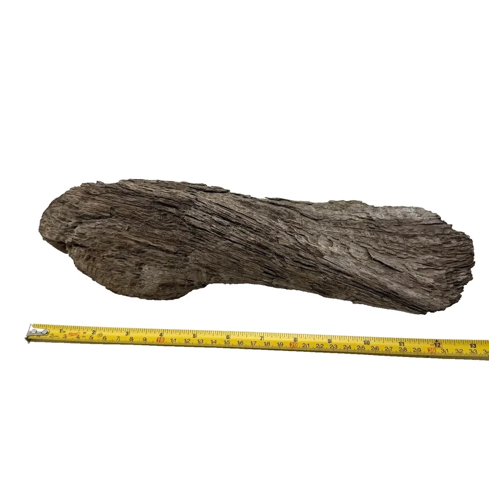 Twisted California Coast Driftwood Form – Dark Weathered Grain 13”
